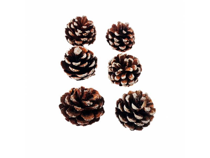 PINHA DECORATIVO NATAL